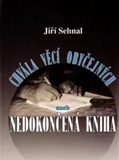 Česká beletria Chvála věcí obyčejných aneb Nedokončená kniha - Jiří Rajlich