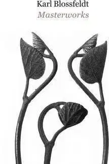Fotografia Karl Blossfeldt: Masterworks - Hansjörg Küster,Ann Wilde
