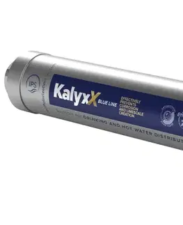 Príslušenstvo k batériám SWISS AQUA TECHNOLOGIES AG - Zmäkčovač vody IPS Kalyxx BlueLine - G 1" IPSKXG1