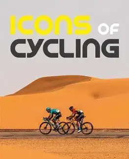 Fotografia Icons Of Cycling - Kirsten Van Steenberge