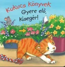 Leporelá, krabičky, puzzle knihy Kukucs könyvek - Gyere elő, kisegér! - Anna Taube
