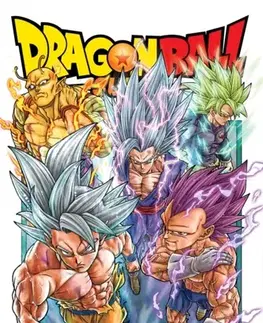 Beletria - ostatné Dragon Ball Super, Vol. 24 - Akira Toriyama