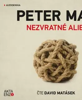 Detektívky, trilery, horory OneHotBook Nezvratné alibi - audiokniha