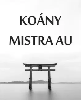 Ezoterika - ostatné Koány Mistra Au - Čeněk Pekař