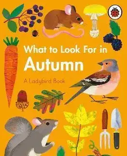 V cudzom jazyku What to Look For in Autumn - Elizabeth Jenner