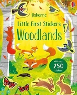 V cudzom jazyku Little First Stickers Woodlands - Caroline Young