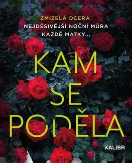 Detektívky, trilery, horory Kam se poděla - Amber Garza