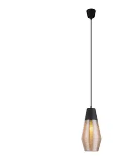 Svietidlá Globo 15043 - Luster na lanku WAYNE 1xE27/60W/230V 15043