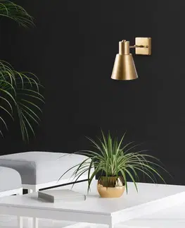 Nástenné svetlá Nástenná lampa Funnel - 13091