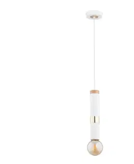 Svietidlá  Luster na lanku DEKOR 1xE27/60W/230V 60952