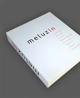 Umenie Meluzin - Peter Meluzin