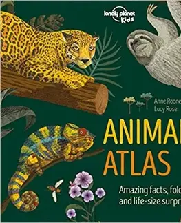 V cudzom jazyku Animal Atlas 1 - Kolektív autorov,Anne Rooney,Lucy Rose