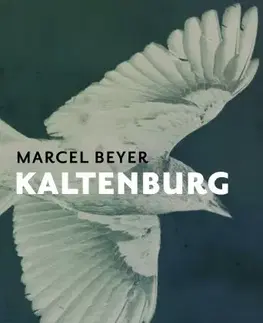 Svetová beletria Kaltenburg - Marcel Beyer