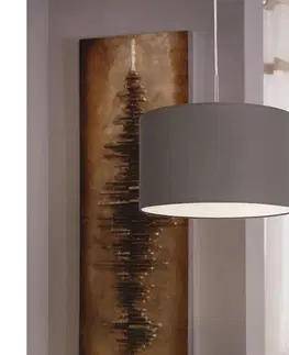 Svietidlá Eglo 31574 Luster na lanku PASTERI E27/60W/230V 31574