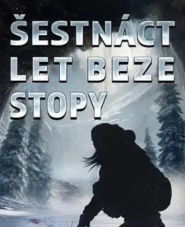Detektívky, trilery, horory Šestnáct let beze stopy - Gillian French