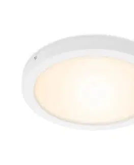 Svietidlá Briloner 7141-016 - LED Stropné svietidlo FIRE LED/21W/230V 7141-016