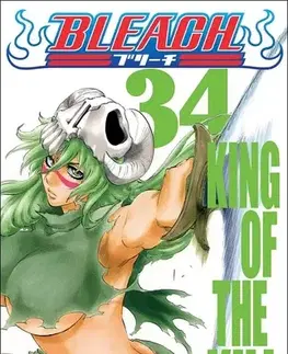 Manga Bleach 34: King of the Kill - Kubo Tite,Anna Křivánková