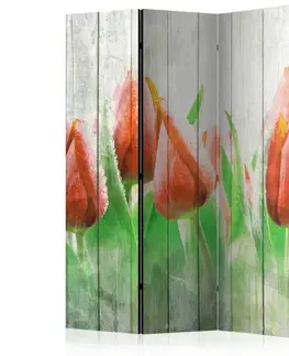 Paravány Paraván Red tulips on wood Dekorhome