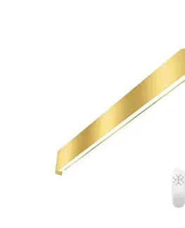 Svietidlá  NEO 07137-G - LED SMART Stmievateľné svietidlo LINEA LED/40W/230V + DO 76 cm 07137-G
