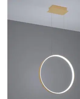 Svietidlá Thoro TH.221 - LED Luster na lanku RIO LED/30W/230V CRI95 4000K pr. 55 cm zlatá TH.221