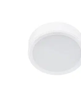 Svietidlá Philips - LED Stropné svietidlo MESON LED/16,5W/230V 4000K 8720169173507