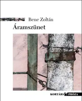 Beletria - ostatné Áramszünet - Zoltán Bene