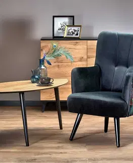 Kreslá Dizajnové kreslo PAGONI Halmar