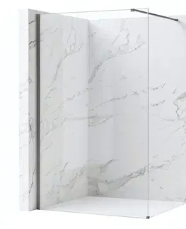 Sprchové dvere REA/S - Sprchová zástena Flexi Transparent / Titan 100 KPL-K99462