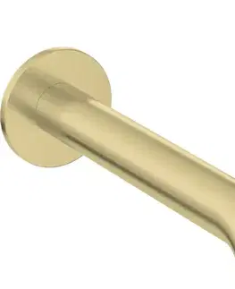 Kúpeľňové batérie DEANTE - Silia Hexa kartáčované zlato Umývadlová batéria, podomietková BHS_R54L