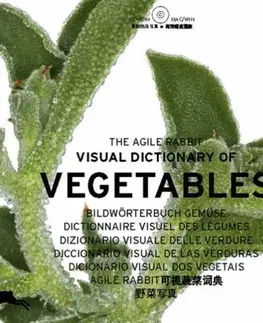 Cudzojazyčná literatúra Vegetables
