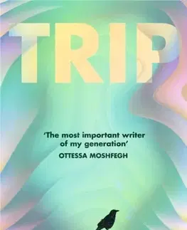 Beletria Trip - Amie Barrodale