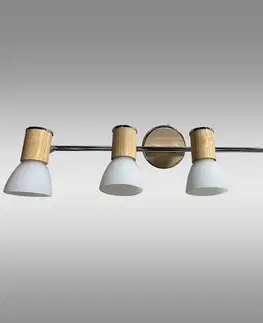 Lampy do obývačky Stropné svietidlo  BRACO 6976 E14 chróm LS4