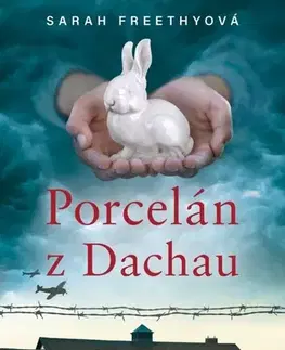 Beletria - ostatné Porcelán z Dachau - Sarah Freethy