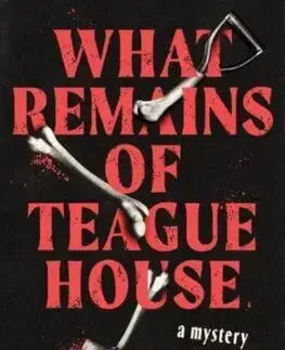 Svetová beletria What Remains of Teague House - Stacy Johns