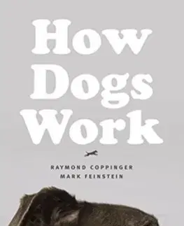 Psy, kynológia How Dogs Work - Raymond Coppinger,Mark Feinstein