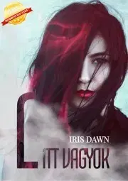 Romantická beletria L - Itt vagyok - Dawn Iris