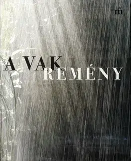 Svetová beletria A Vak Remény - Zsuzsa Takács