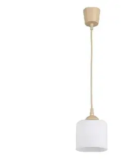 Svietidlá BRILAGI - LED luster na lanku RETRO GLASS 1xE27/60W/230V pr. 10 cm béžová/biela NSTK7006+TK8619A