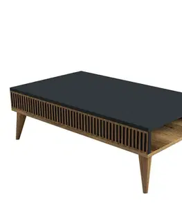 Konferenčné stolíky Konferenčný stolík Mila Anthracite and Walnut