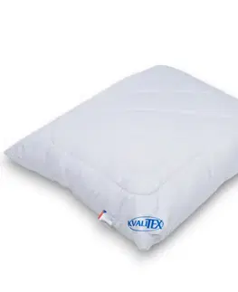 Vankúše Kvalitex Vankúš Aloe Vera so zipsom 700 g, 70 × 90 cm, 700 g