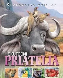Príroda Skutoční priatelia (Kráľovstvo zvierat)