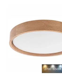 Svietidlá BRILAGI - LED stropné svietidlo MANAROLA SMART LED/24W/230V + DO Tuya 