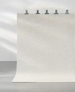 Koberce Koberec Whisper I 160x230 cm