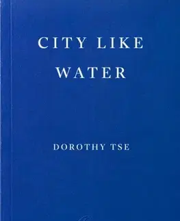 Beletria City Like Water - Dorothy Tse