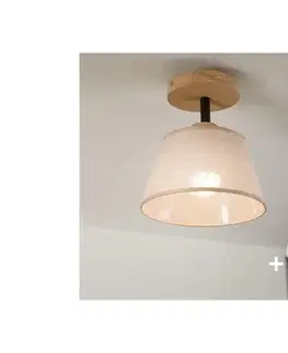 Svietidlá BRILAGI - LED  Prisadený luster ANTHONY 1xE14/60W/230V dub/béžová 8590828610496