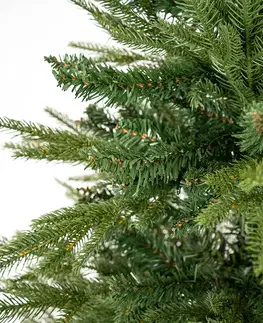 Vianočné dekorácie Vianočný stromček Smrek sivý, 150 cm 