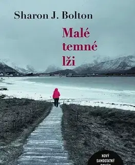 Detektívky, trilery, horory Malé temné lži - Sharon Bolton