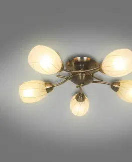 Lampy do obývačky Stropné svietidlo CL16173-5 PL5