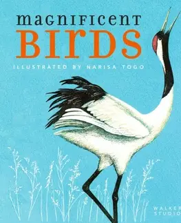 Encyklopédie pre deti a mládež - ostatné Magnificent Birds - Narisa Togo
