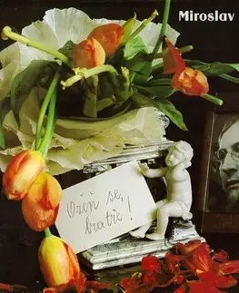 Poézia SUPRAPHON a.s. Ožeň se, bratře